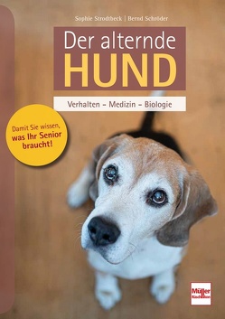 Der alternde Hund von Schroeder,  Bernd, Strodtbeck,  Sophie