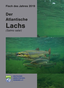 Der Atlantische Lachs (Salmo salar)