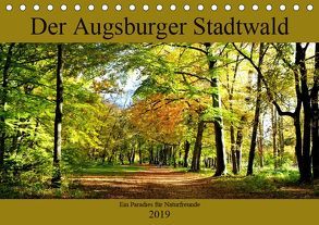 Der Augsburger Stadtwald – Ein Paradies für Naturfreunde (Tischkalender 2019 DIN A5 quer) von Lutzenberger,  Monika
