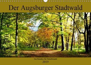 Der Augsburger Stadtwald – Ein Paradies für Naturfreunde (Wandkalender 2019 DIN A3 quer) von Lutzenberger,  Monika