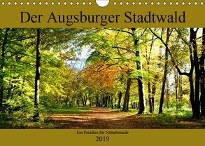 Der Augsburger Stadtwald – Ein Paradies für Naturfreunde (Wandkalender 2019 DIN A4 quer) von Lutzenberger,  Monika