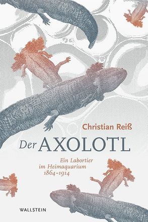 Der Axolotl von Reiß,  Christian