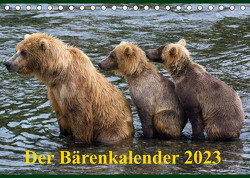 Der Bärenkalender 2023 CH-Version (Tischkalender 2023 DIN A5 quer) von Steinwald,  Max