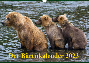 Der Bärenkalender 2023 CH-Version (Wandkalender 2023 DIN A3 quer) von Steinwald,  Max