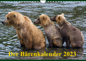 Der Bärenkalender 2023 CH-Version (Wandkalender 2023 DIN A4 quer) von Steinwald,  Max