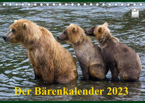 Der Bärenkalender 2023 (Tischkalender 2023 DIN A5 quer) von Steinwald,  Max