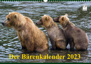 Der Bärenkalender 2023 (Wandkalender 2023 DIN A3 quer) von Steinwald,  Max