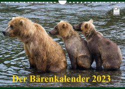 Der Bärenkalender 2023 (Wandkalender 2023 DIN A4 quer) von Steinwald,  Max