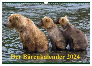 Der Bärenkalender 2024 CH-Version (Wandkalender 2024 DIN A3 quer), CALVENDO Monatskalender von Steinwald,  Max