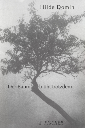 Der Baum blüht trotzdem von Domin,  Hilde