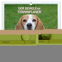 DER BEAGLEige TERMINPLANER (hochwertiger Premium Wandkalender 2024 DIN A2 quer), Kunstdruck in Hochglanz von Lindert-Rottke,  Antje