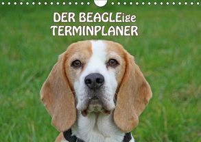 DER BEAGLEige TERMINPLANER (Wandkalender 2019 DIN A4 quer) von Lindert-Rottke,  Antje