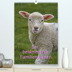 Der belämmerte Familienplaner (Premium, hochwertiger DIN A2 Wandkalender 2022, Kunstdruck in Hochglanz) von Lindert-Rottke,  Antje