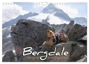 Der Bergdale – mit Hund im Hochgebirge (Wandkalender 2024 DIN A4 quer), CALVENDO Monatskalender von Becker,  Antje