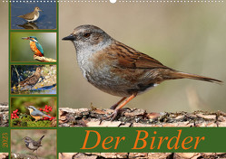 Der BirderAT-Version (Wandkalender 2023 DIN A2 quer) von Bucher,  Leo