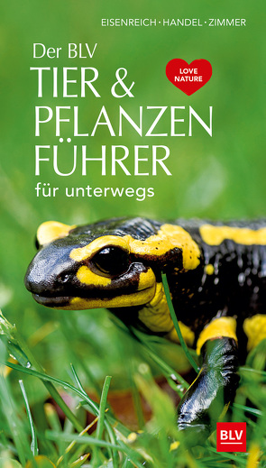 Der BLV Tier & Pflanzenführer von Eisenreich,  Wilhelm, Handel,  Alfred, Zimmer,  Ute E.