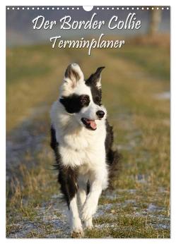 Der Border Collie Terminplaner (Wandkalender 2024 DIN A3 hoch), CALVENDO Monatskalender von Lindert-Rottke,  Antje