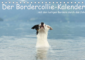 Der Bordercollie-Kalender (Tischkalender 2022 DIN A5 quer) von Köntopp,  Kathrin