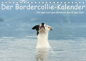 Der Bordercollie-Kalender (Tischkalender 2023 DIN A5 quer) von Köntopp,  Kathrin