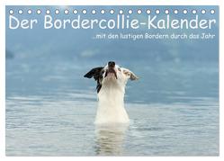 Der Bordercollie-Kalender (Tischkalender 2024 DIN A5 quer), CALVENDO Monatskalender von Köntopp,  Kathrin