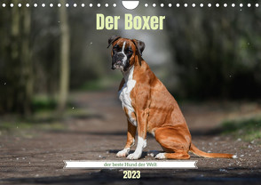 Der Boxer, der beste Hund der Welt (Wandkalender 2023 DIN A4 quer) von Janetzek,  Yvonne