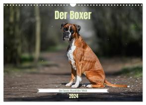 Der Boxer, der beste Hund der Welt (Wandkalender 2024 DIN A3 quer), CALVENDO Monatskalender von Janetzek,  Yvonne