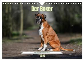 Der Boxer, der beste Hund der Welt (Wandkalender 2024 DIN A4 quer), CALVENDO Monatskalender von Janetzek,  Yvonne