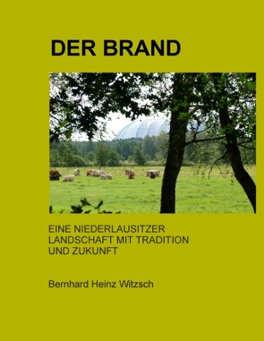 Der Brand von Witzsch,  Bernhard Heinz