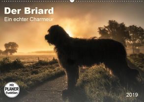 Der Briard 2019 – Ein echter Charmeur (Wandkalender 2019 DIN A2 quer) von Teßen,  Sonja