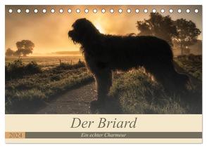 Der Briard 2024 – Ein echter Charmeur (Tischkalender 2024 DIN A5 quer), CALVENDO Monatskalender von Teßen,  Sonja