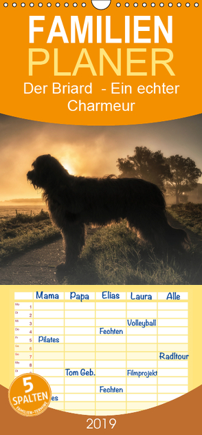 Der Briard – Ein echter Charmeur – Familienplaner hoch (Wandkalender 2019 , 21 cm x 45 cm, hoch) von Teßen,  Sonja