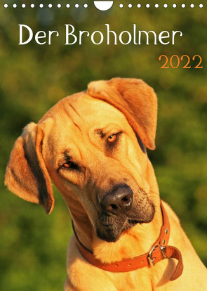 Der Broholmer (Wandkalender 2022 DIN A4 hoch) von Nixe