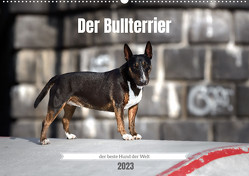 Der Bullterrier der beste Hund der Welt (Wandkalender 2023 DIN A2 quer) von Janetzek,  Yvonne