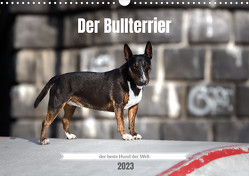 Der Bullterrier der beste Hund der Welt (Wandkalender 2023 DIN A3 quer) von Janetzek,  Yvonne