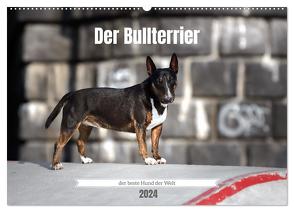 Der Bullterrier der beste Hund der Welt (Wandkalender 2024 DIN A2 quer), CALVENDO Monatskalender von Janetzek,  Yvonne