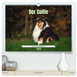 Der Collie der beste Hund der Welt (hochwertiger Premium Wandkalender 2024 DIN A2 quer), Kunstdruck in Hochglanz von Janetzek,  Yvonne