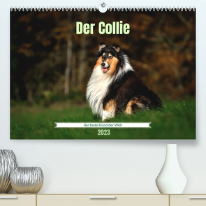 Der Collie der beste Hund der Welt (Premium, hochwertiger DIN A2 Wandkalender 2023, Kunstdruck in Hochglanz) von Janetzek,  Yvonne