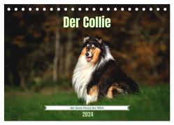 Der Collie der beste Hund der Welt (Tischkalender 2024 DIN A5 quer), CALVENDO Monatskalender von Janetzek,  Yvonne