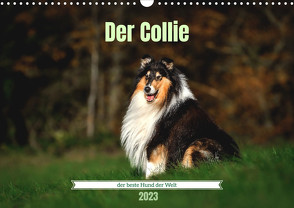 Der Collie der beste Hund der Welt (Wandkalender 2023 DIN A3 quer) von Janetzek,  Yvonne