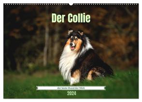 Der Collie der beste Hund der Welt (Wandkalender 2024 DIN A2 quer), CALVENDO Monatskalender von Janetzek,  Yvonne