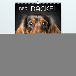 Der Dackel – klein aber mutig (hochwertiger Premium Wandkalender 2024 DIN A2 hoch), Kunstdruck in Hochglanz von Roder,  Peter