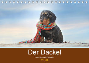 Der Dackel (Tischkalender 2020 DIN A5 quer) von Foto Grafia Fotografie,  Anja