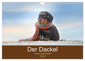 Der Dackel (Wandkalender 2024 DIN A4 quer), CALVENDO Monatskalender von Foto Grafia Fotografie,  Anja