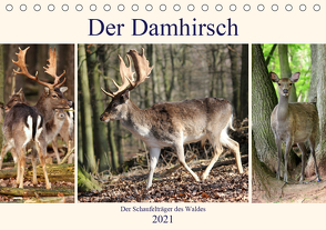 Der Damhirsch – Der Schaufelträger des Waldes (Tischkalender 2021 DIN A5 quer) von Klatt,  Arno