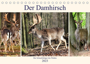Der Damhirsch – Der Schaufelträger des Waldes (Tischkalender 2023 DIN A5 quer) von Klatt,  Arno