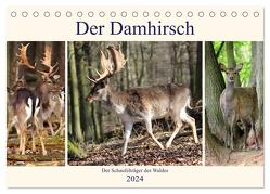 Der Damhirsch – Der Schaufelträger des Waldes (Tischkalender 2024 DIN A5 quer), CALVENDO Monatskalender von Klatt,  Arno