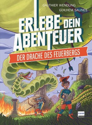Der Drache des Feuerbergs (Rätselabenteuer für Kinder ab 8 Jahren, Spielebuch, stundenlanger Rätselspaß)) von Salines,  Guilhem, Wendling,  Gauthier