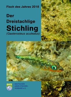 Der Dreistachlige Stichling (Gasterosteus aculeatus)