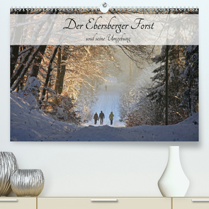 Der Ebersberger Forst und seine Umgebung (Premium, hochwertiger DIN A2 Wandkalender 2021, Kunstdruck in Hochglanz) von Bildarchiv,  Geotop
