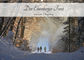 Der Ebersberger Forst und seine Umgebung (Wandkalender 2020 DIN A2 quer) von Bildarchiv,  Geotop